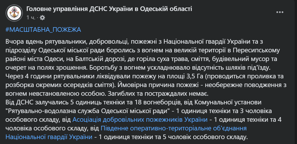 В Одесі рятувальники та добровольці тушили масштабну пожежу - фото 1