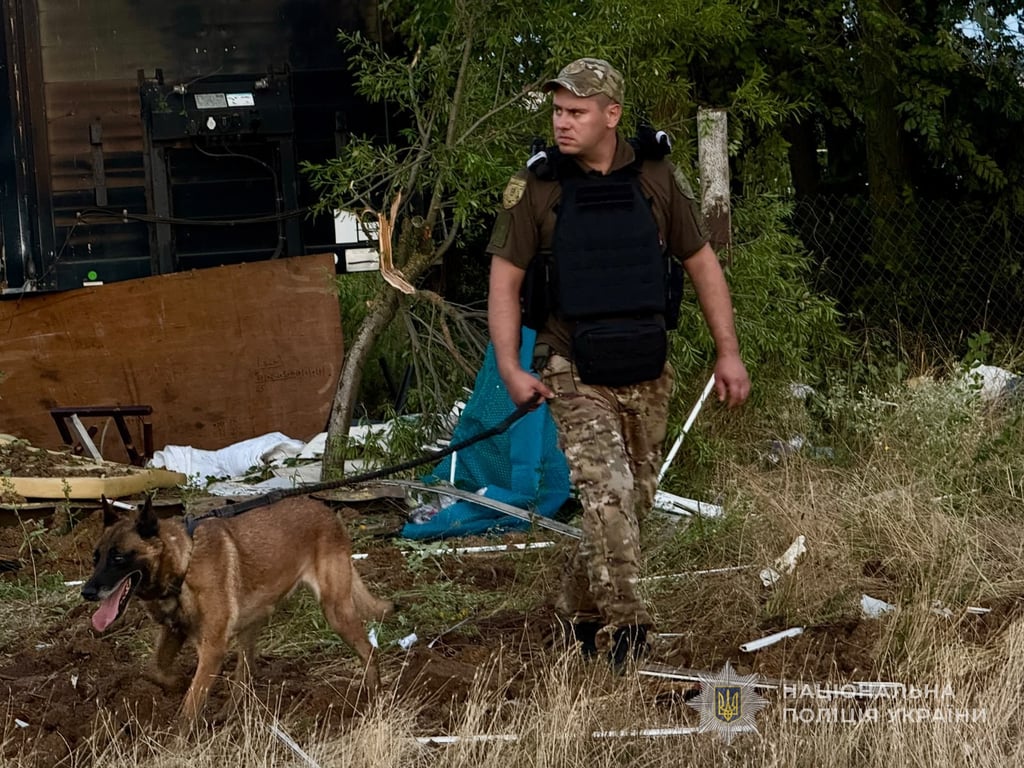 Поліцейський під час пошукових робіт