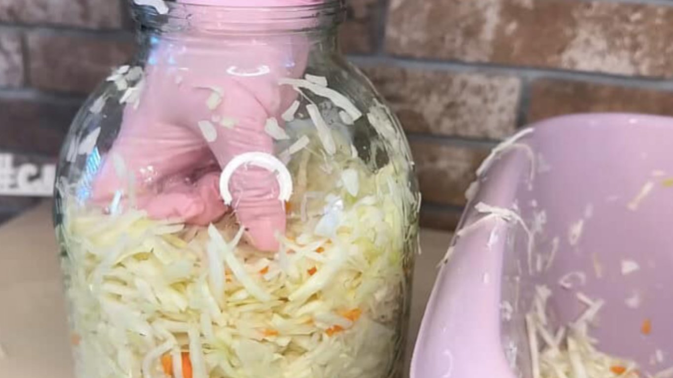 квашена капуста