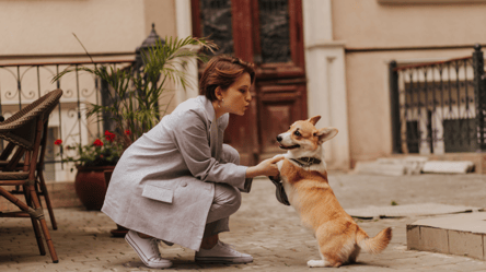 Одне з міст Італії вводить податок на собак - 285x160