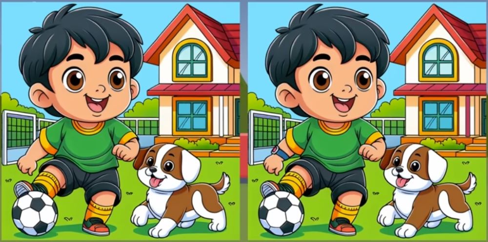 Три відмінності за 12 секунд — весела головоломка для всієї родини - фото 1