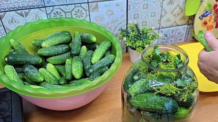 Огурцы получаются вкуснее, чем бочковые: старый рецепт папы - 285x160