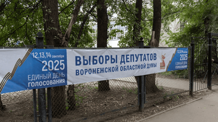 В России на выборах избили представителя независимого кандидата - 285x160