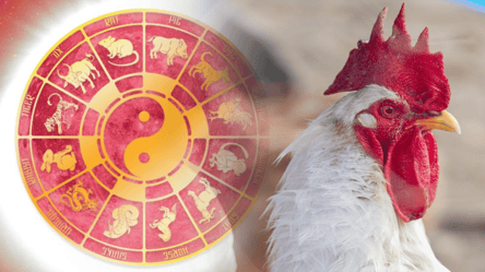 Восточный гороскоп для Петуха на 2026 год — что ждать от Лошади - 285x160