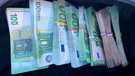 Киянин зі співмешканкою намагалися вивезти з України 80 тисяч євро у сумках - 290x160