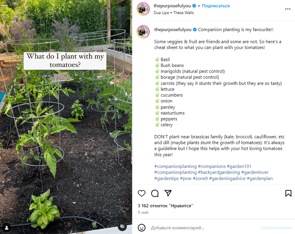 Публікація зі сторінки садівниці Tasha Medve