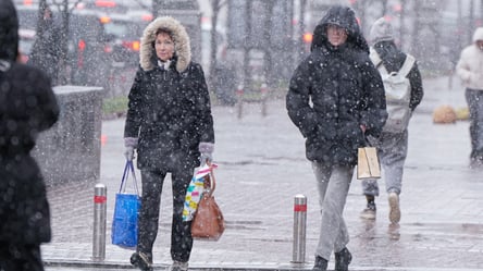 Диденко предупредила украинцев о снежной метели на Новый год - 290x166