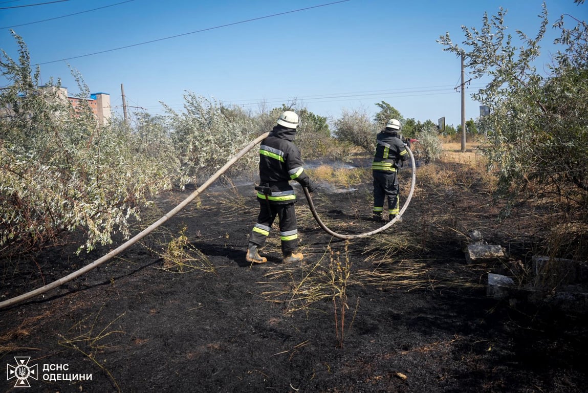 Одещина у вогні — пожежі знищили сотні гектарів землі - фото 4