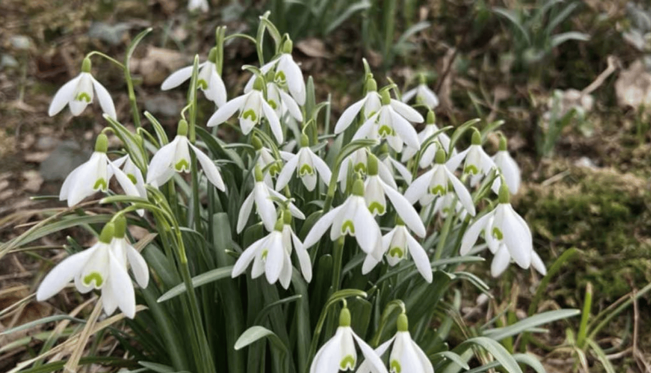 Парку у Львові