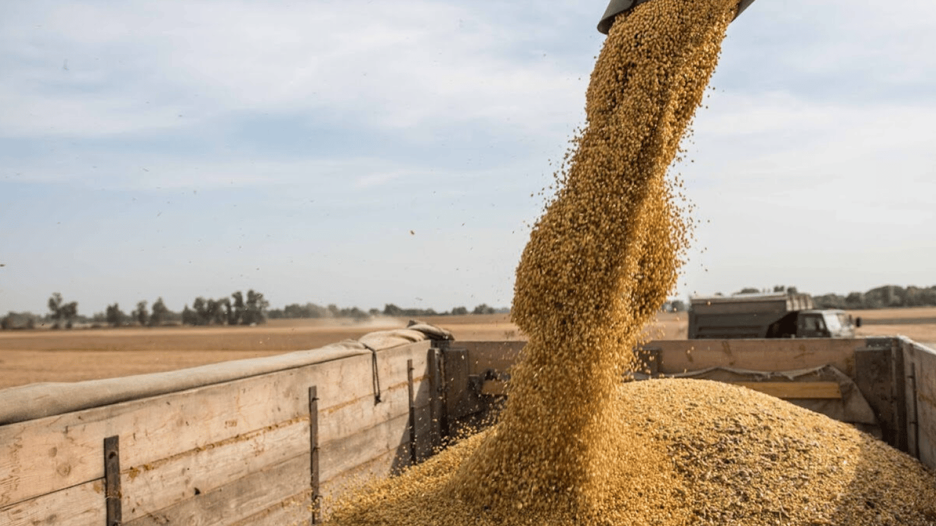 Украинское зерно