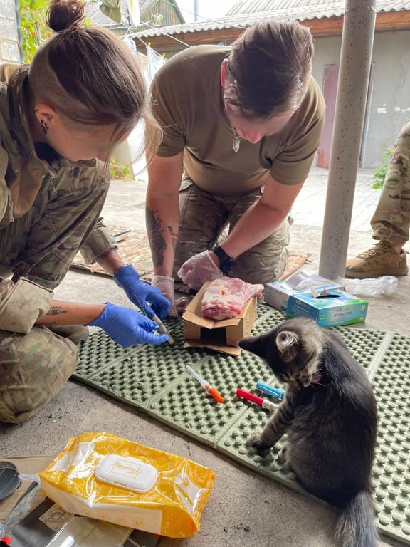 Марина Горнчарук Рись