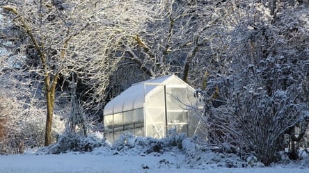 Теплиця не мерзне — теракотовий горщик зберігає тепло всю ніч - 285x160
