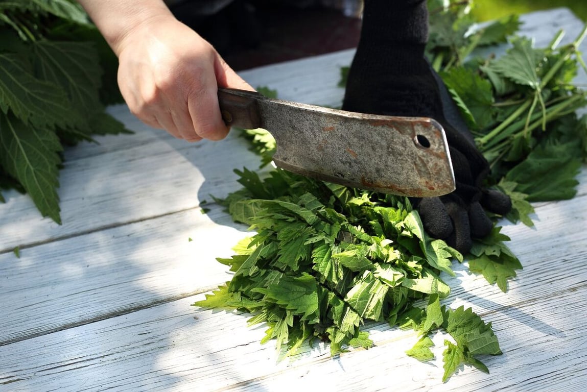 Человек, измельчающий крапиву топором