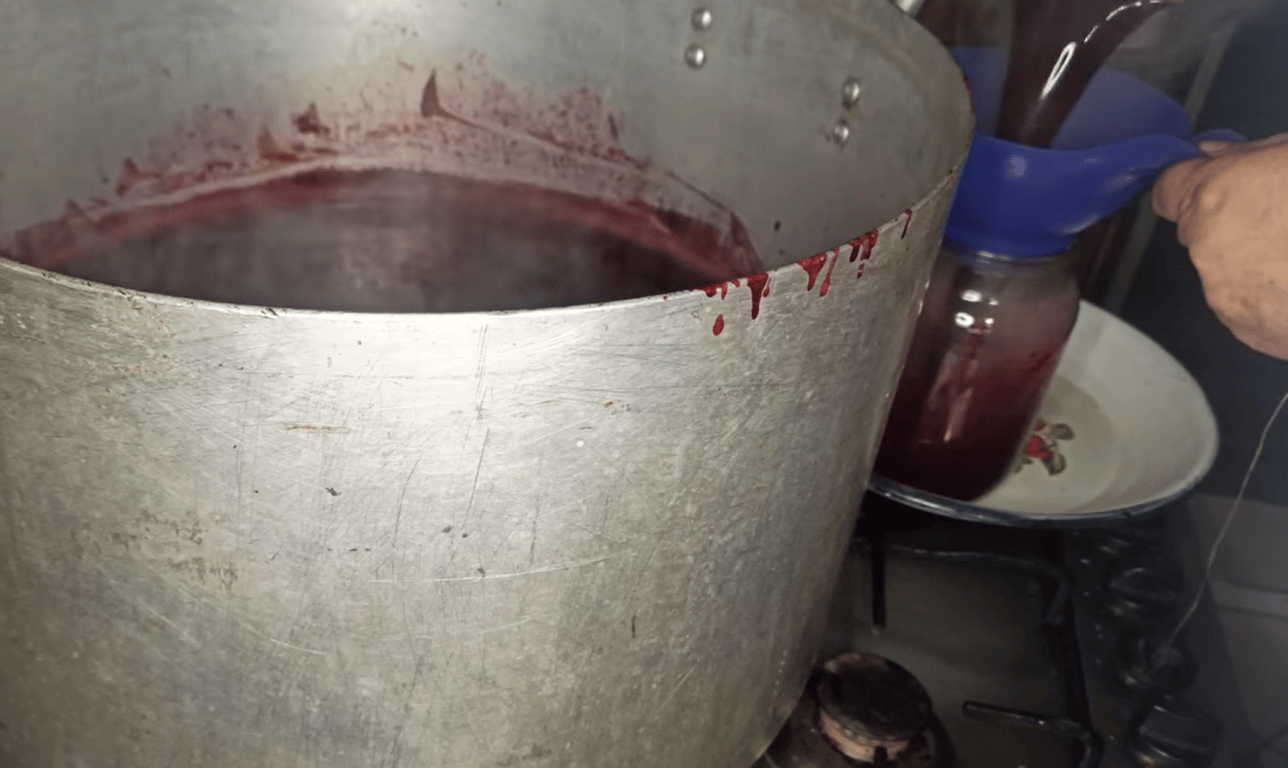 Рецепт виноградного сока