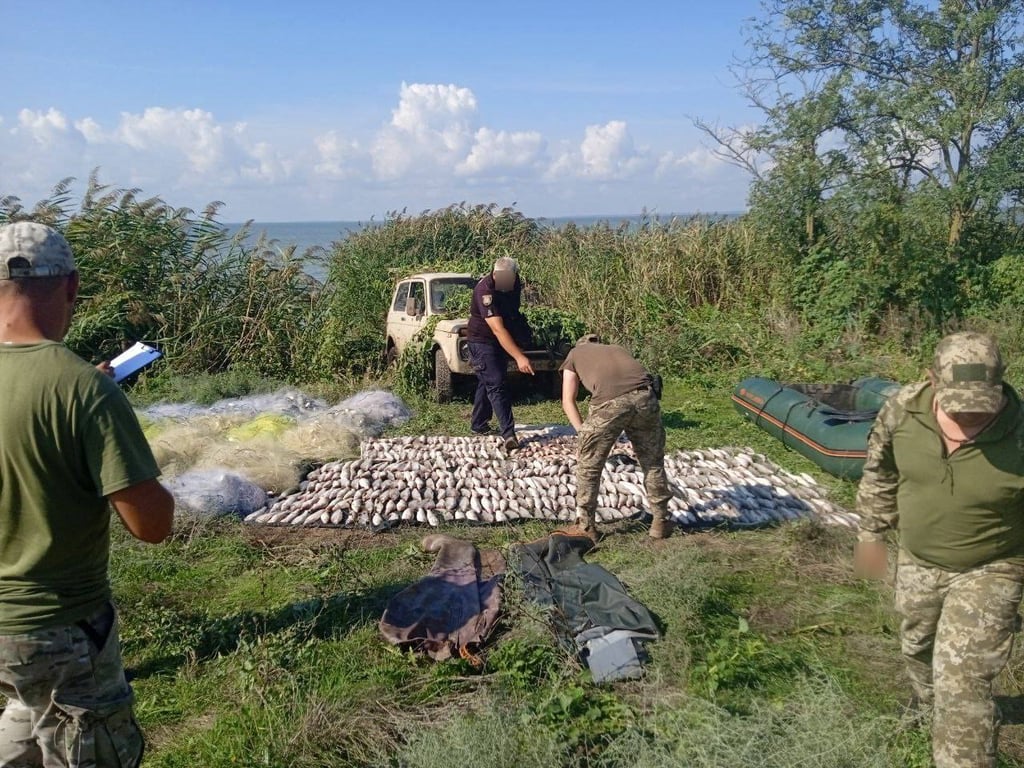 Незаконно выловили рыбы более чем на миллион — в Одесской области задержали браконьеров - фото 3