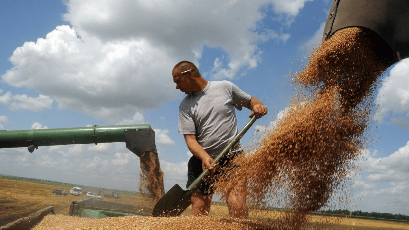 Ukraine's agricultural exports increased by 9.9 million tons