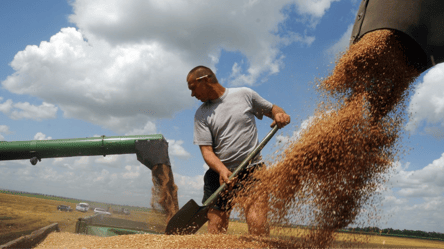 Ukrainian agricultural exports grew by more than a quarter — what is known - 285x160