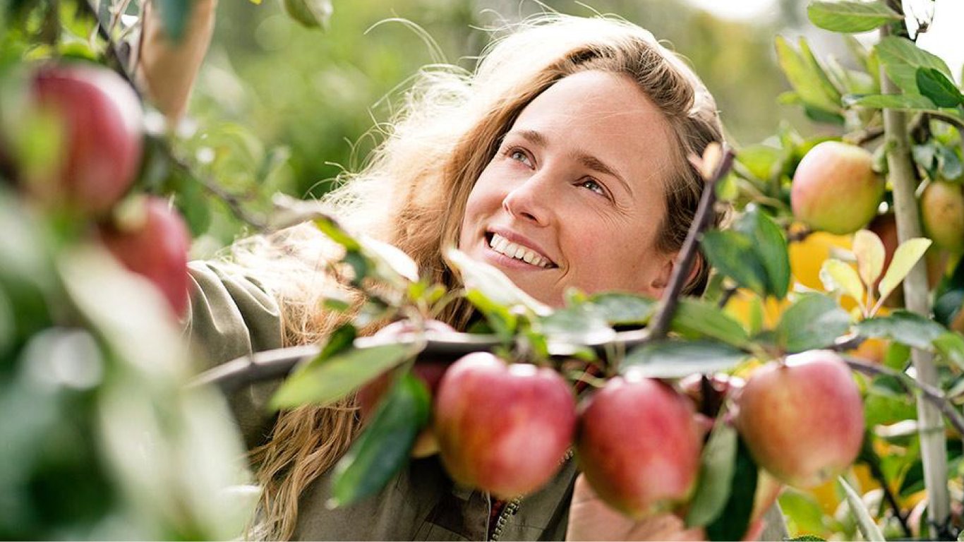 Що посадити біля яблуні, щоб зібрати щедрий врожай: поради садівникам і дачникам
