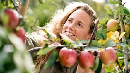 Посадите это у яблони и она отблагодарит рекордным урожаем - 285x160