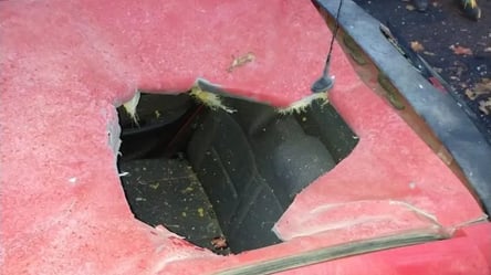 Посреди французского Страсбурга на автомобиль упал метеорит - 285x160
