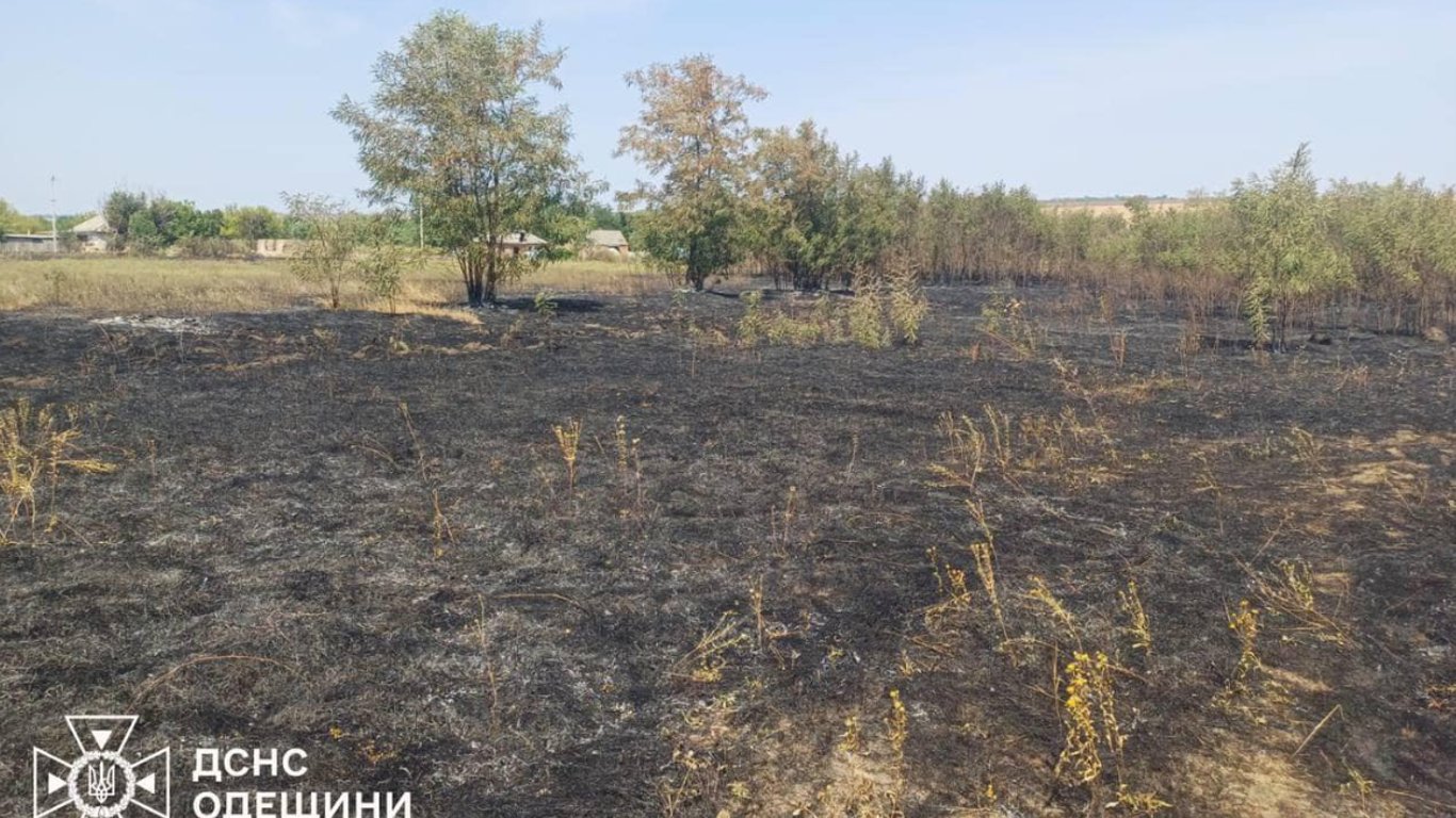 Жительница Одесчины совершила поджог в родном селе: детали