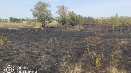 Устроила пожар в родном селе — на Одесчине разоблачили поджигательницу - 290x166