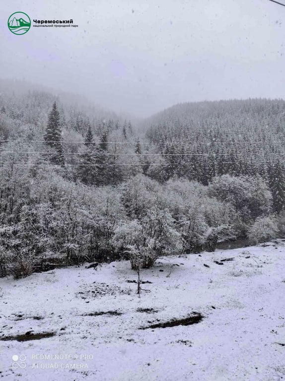 сніг на Буковині 17 квітня