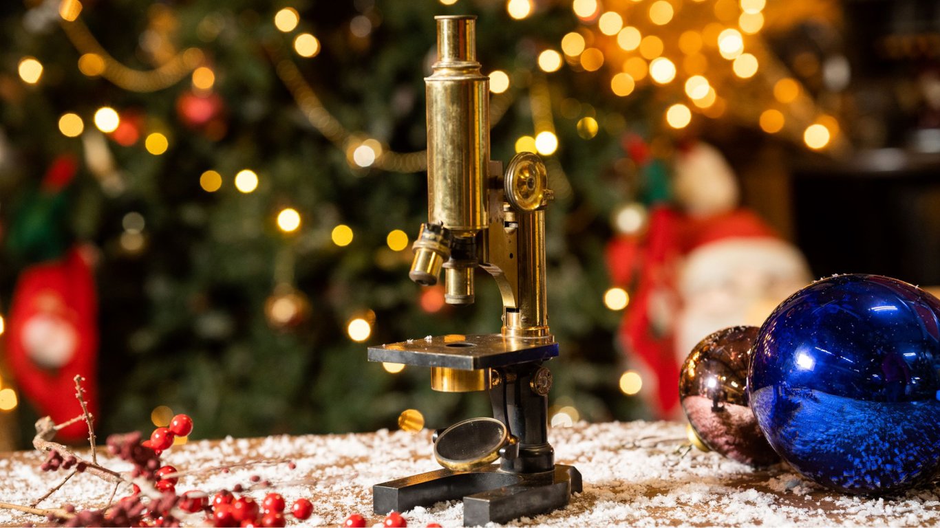 Что скрывается в вашей новогодней елке — тайный мир под микроскопом