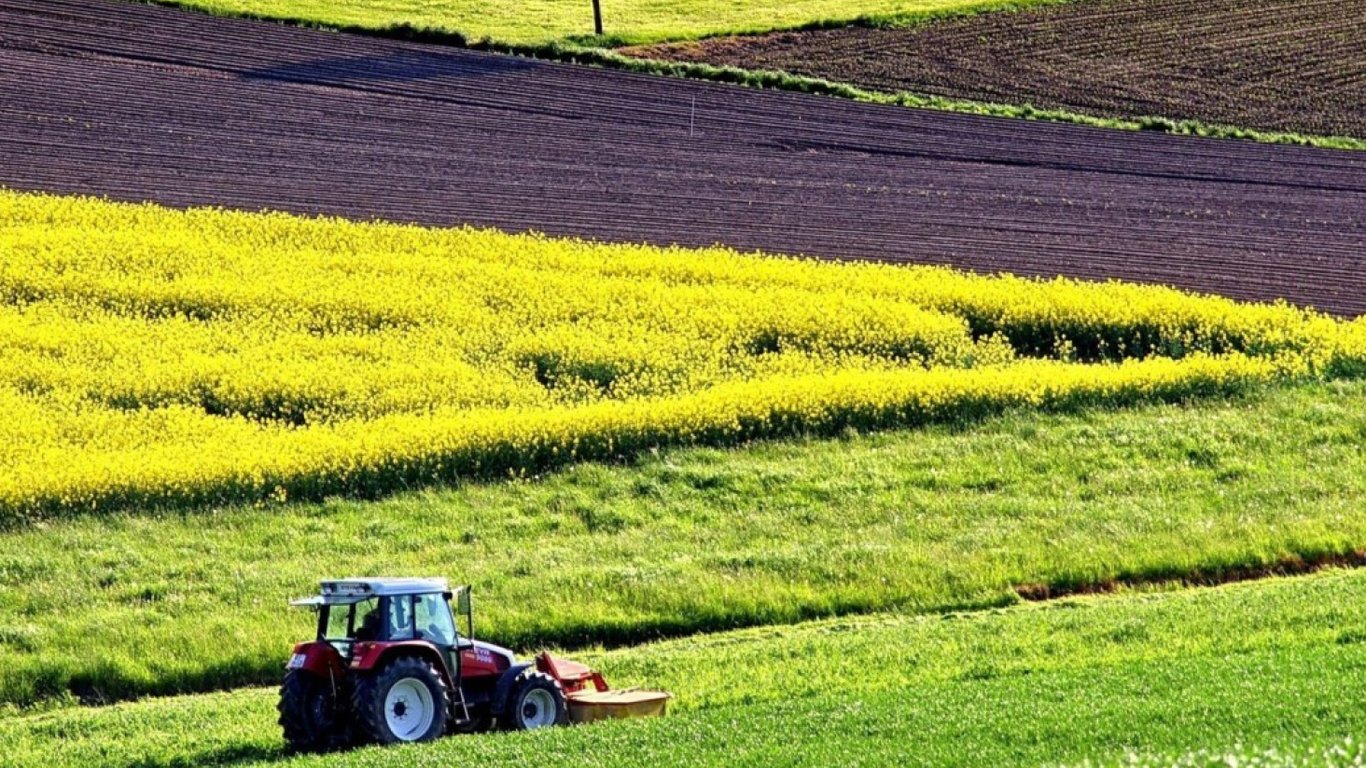 Ціни на землю — в Україні активно дорожчають земельні гектари