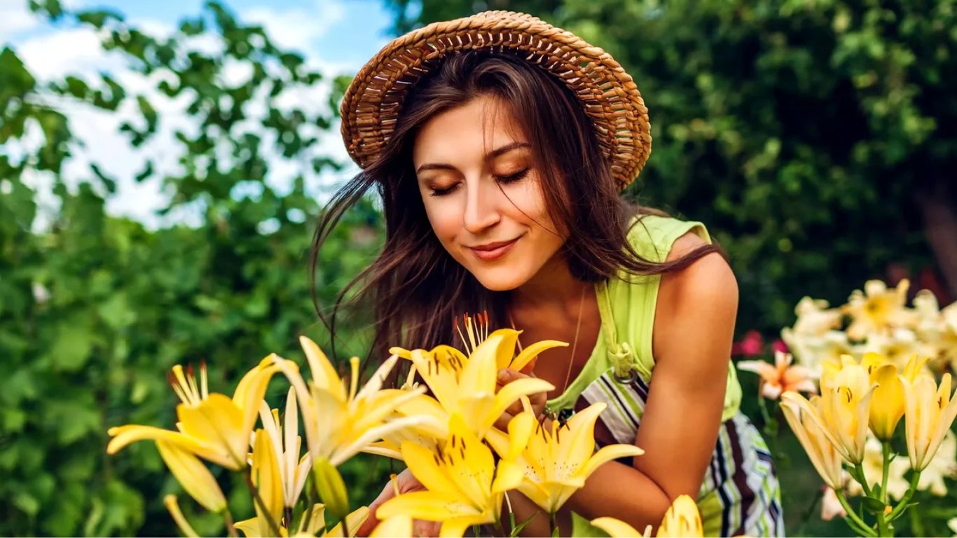 Що зробити з лілією у липні для пишного цвітіння — поради досвідчених садівників
