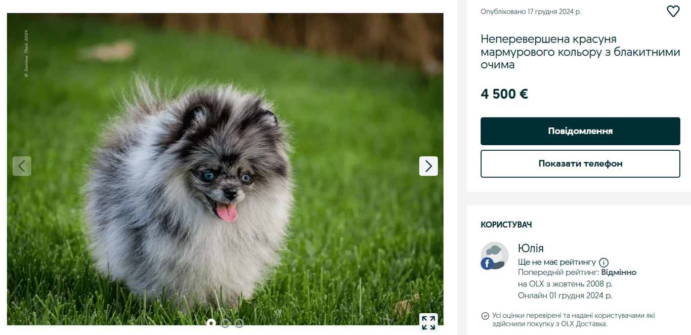 Не всем по карману — сколько стоят животные элитных пород на OLX - фото 1