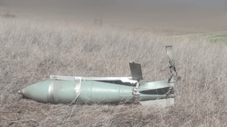 Пограничники умело "приземлили" вражескую крылатую ракету, летевшую в сторону Донецкой области - 285x160