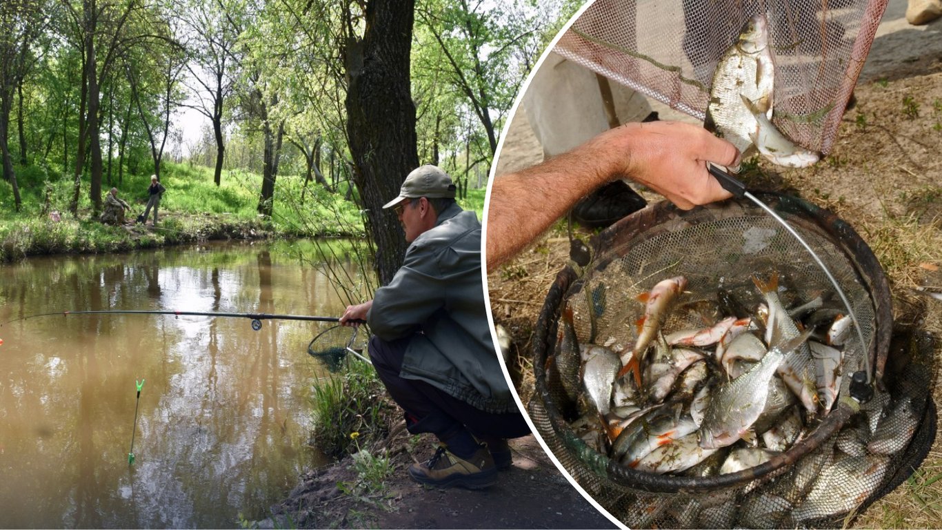 Рыбалка летом: на каких водоемах не нужно платить в 2026 году