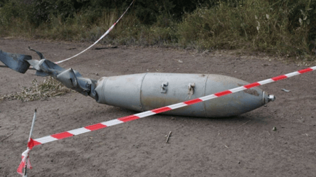 В Естонії знайшли 250 кілограмів вибухівки біля кордону з РФ - 290x166