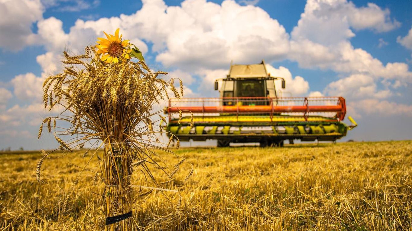 Цены на зерновые в Украине по состоянию на 2 декабря 2023 года