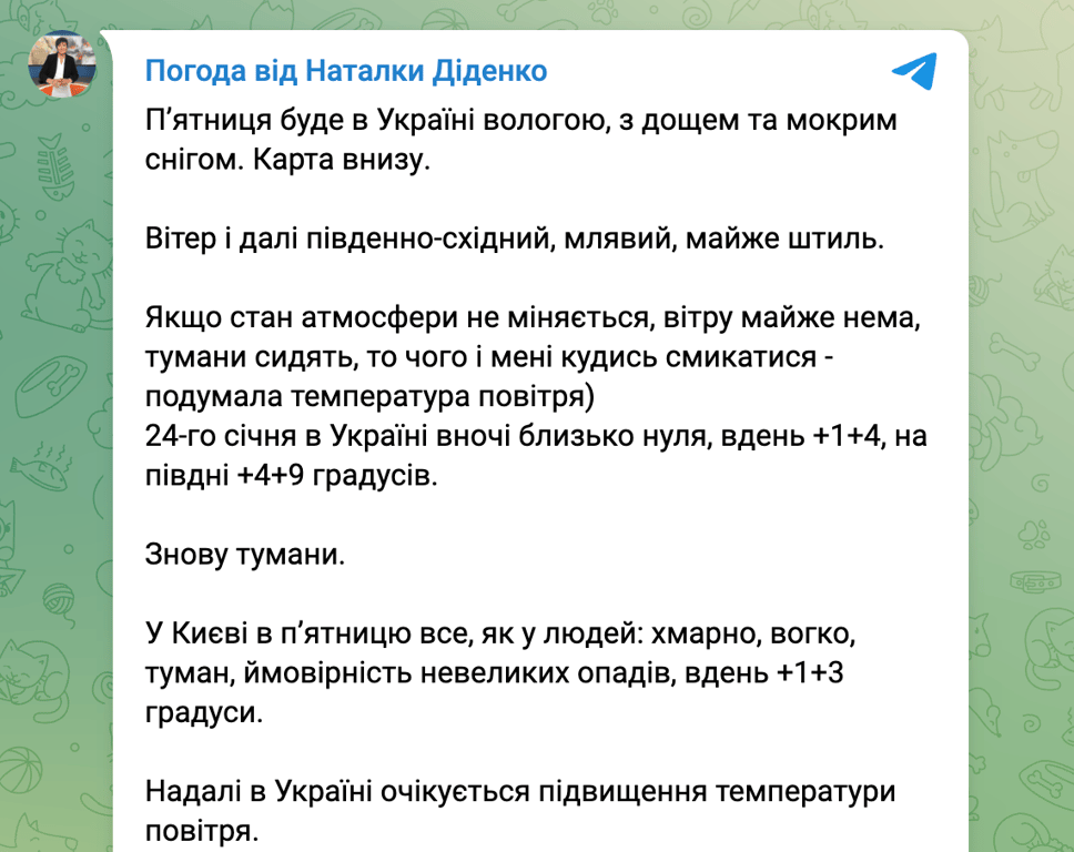 Синоптик Діденко