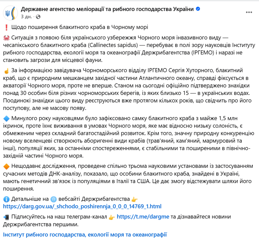 У морі біля Одеси оселився новий хижак — чи варто панікувати - фото 1