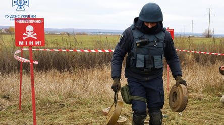 В ДСНС на конкретному прикладі пояснили, чому не варто самотужки розміновувати територію - 285x160