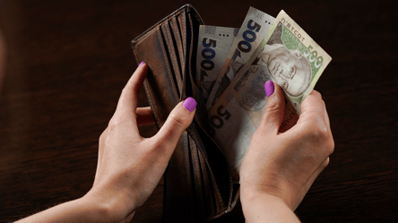 Цены на подсолнечник снова растут — какая причина подорожания - 285x160