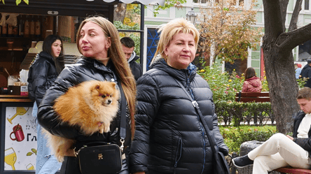 Есть два пути — как ВПЛ восстановить отмененную денежную помощь - 285x160