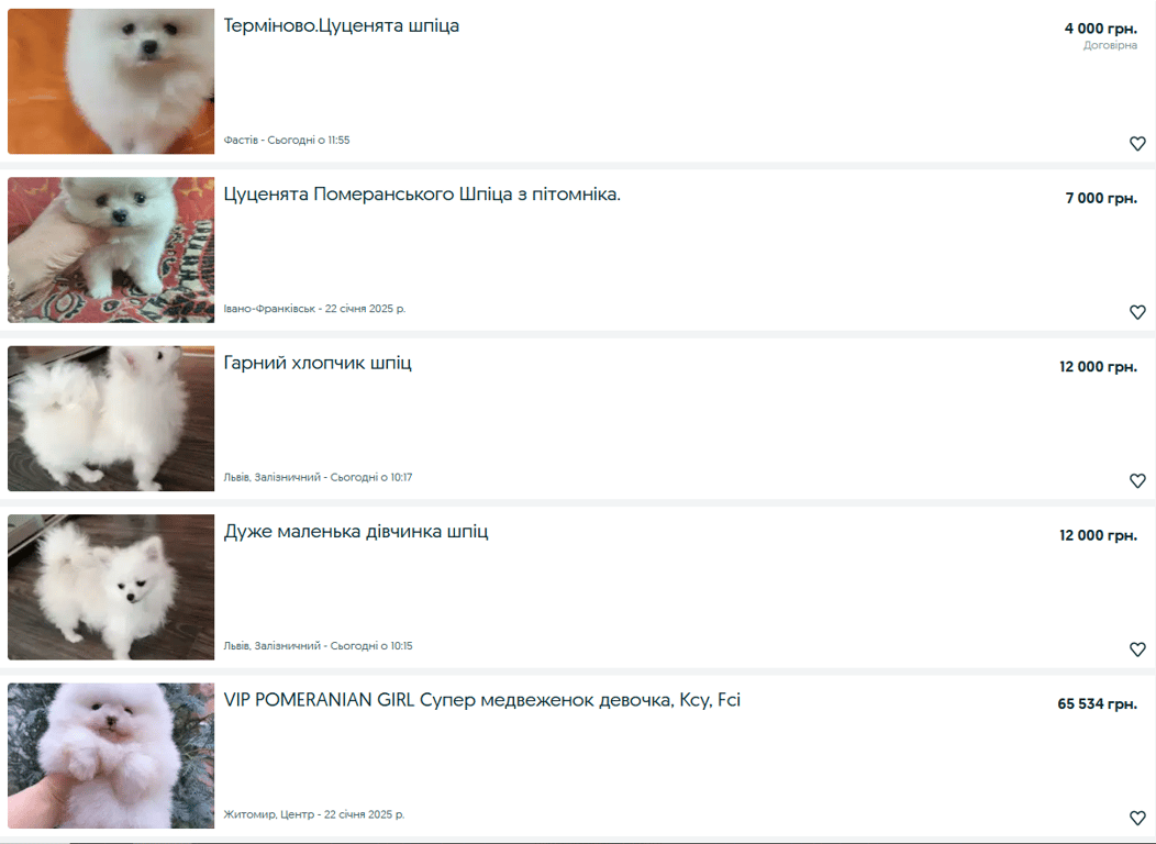 Самая дорогая порода собак на OLX — кого продают за 4 500 евро - фото 2