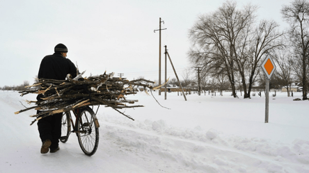 Сухостой возле водоемов — можно ли забирать на дрова в 2026 году - 285x160