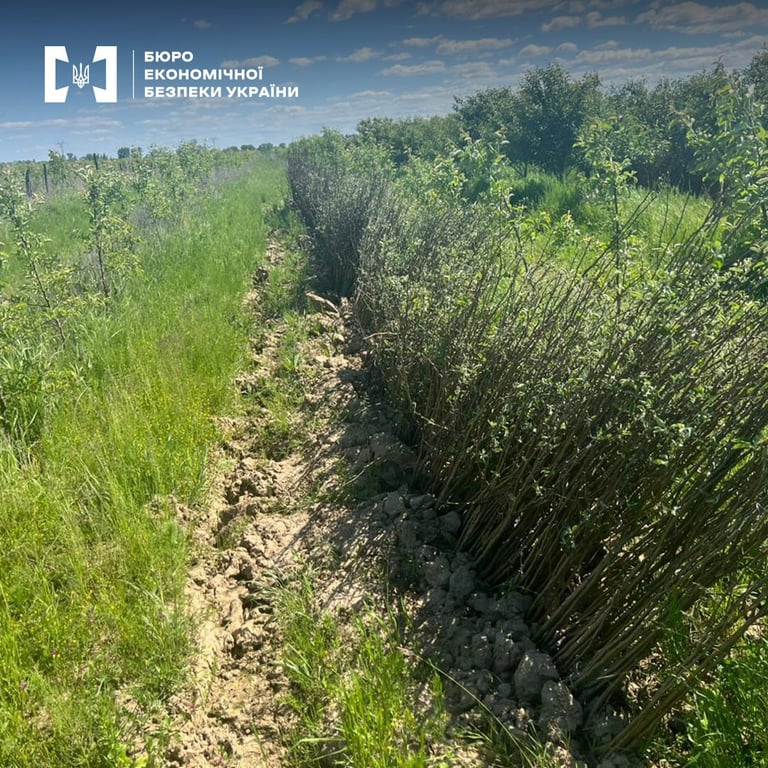 Шахрайство садівництво