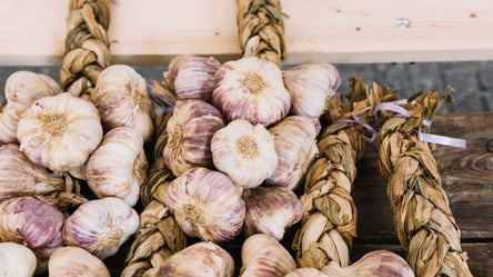 Де тримати часник взимку, щоб він залишався свіжим до врожаю - 285x160