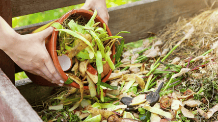 Быстрый компост без химии — простой лайфхак с вареньем - 285x160