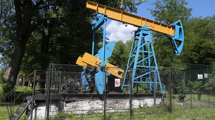 Ціна вражає: в одному з регіонів України продали право на видобуток графіту - 285x160
