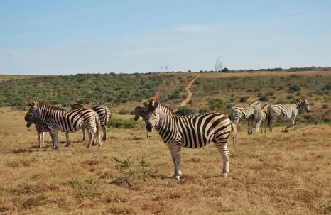 Соло-туристка порадила безпечні країни для подорожей - фото 1