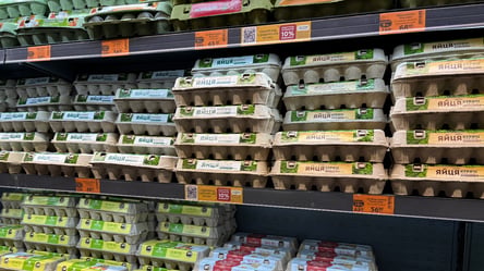 Пора покупать яйца в супермаркетах: где искать самый дешевый продукт - 285x160