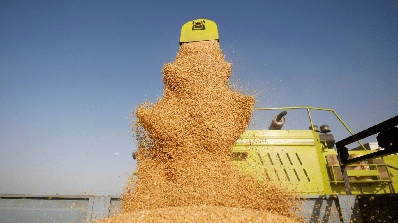 Цены на зерновые в Украине на 24 марта 2024 года