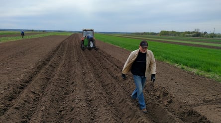 Земельна угода без проблем: що перевірить нотаріус у 2026 році - 285x160